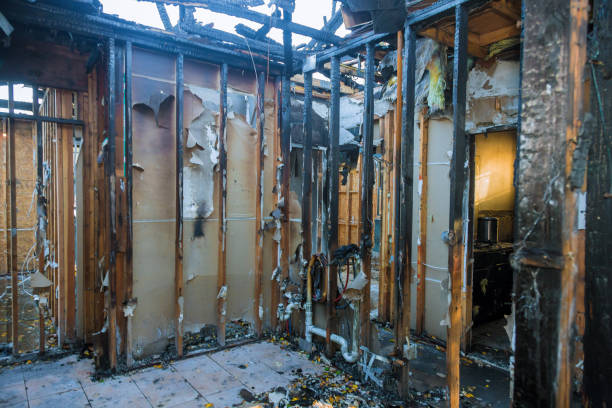 Professional Fire Damage Removal technician working in Wheeler AFB, HI